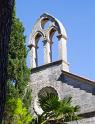 IMG_3859 copy